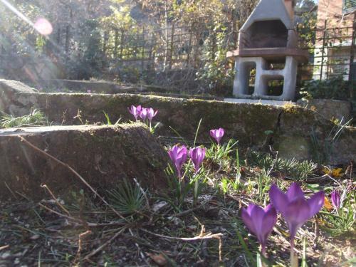 Apartamento Villa Agrifogli