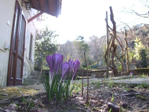 Apartamento Villa Agrifogli