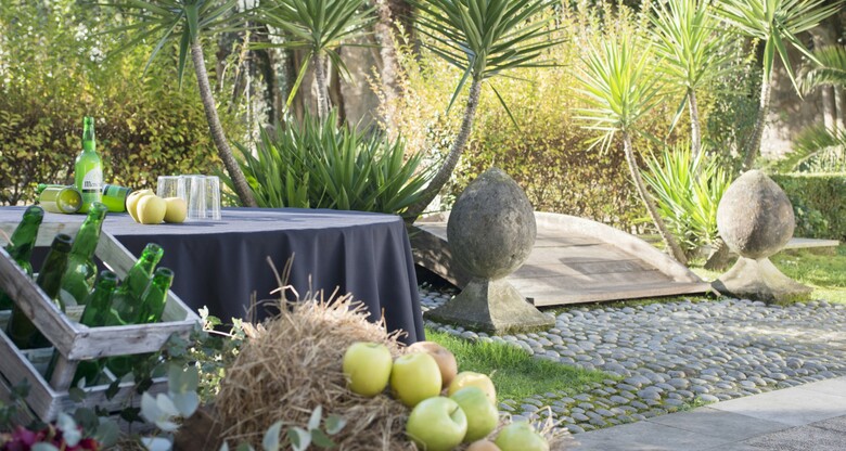 Hotel Palacio de Avil�s, Affiliated By Meli�
