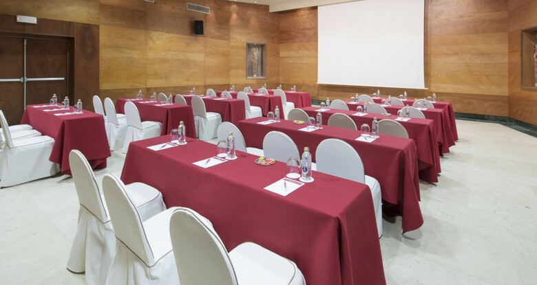 Hotel Palacio de Avil�s, Affiliated By Meli�
