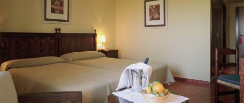 Hotel Parador De Manzanares