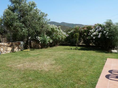 Villa B&B Pettirosso Garden