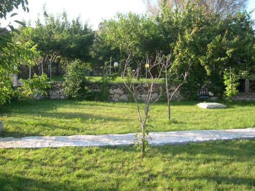 Villa B&B Pettirosso Garden