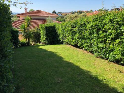 Apartamento Residenza Gli Asparagi