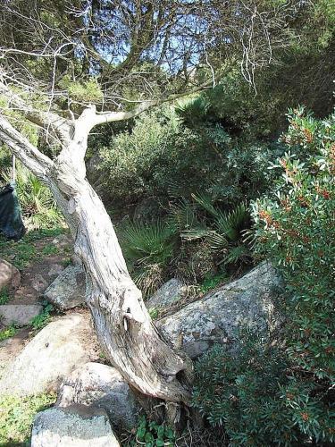 B&B Semaforo Capo Sperone