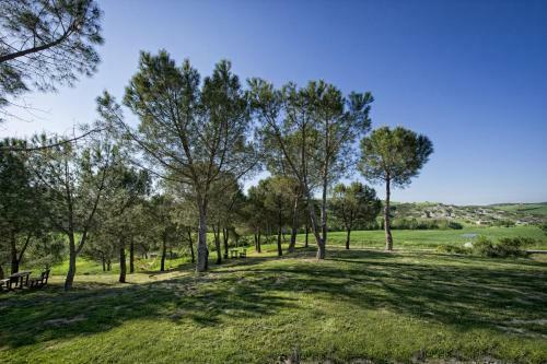 San Quirico D'orcia Apartment Sleeps 3 Pool Wifi