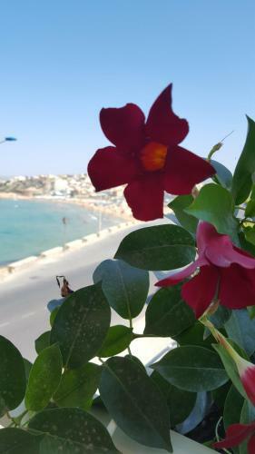 Apartamento Casa Aliga