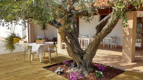 Posada Locanda Zona Franca