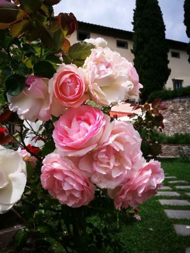 Agroturismo Palazzo Boccella