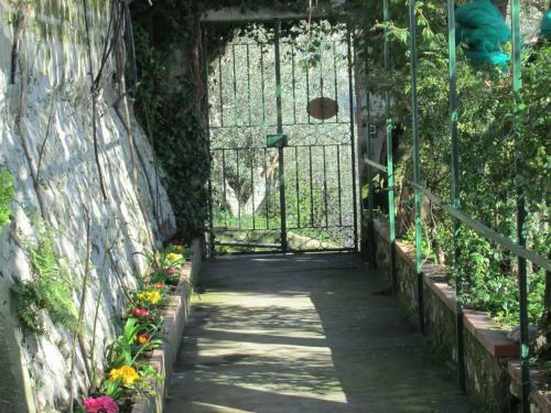 Bed & Breakfast L'uliveto