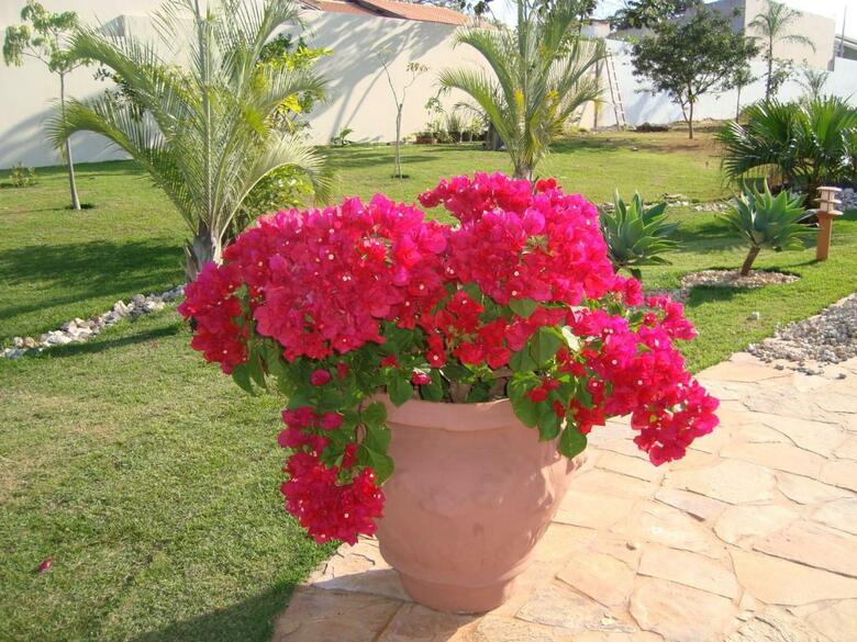Hotel Pousada Surucu� - Bonito/ms