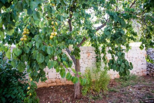 Bed & Breakfast Giardino Segreto