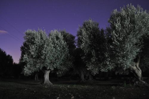 Agroturismo Masseria Costanza