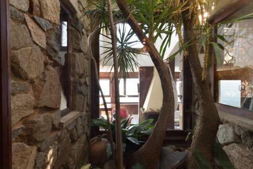 La Villa Di Cala Regina