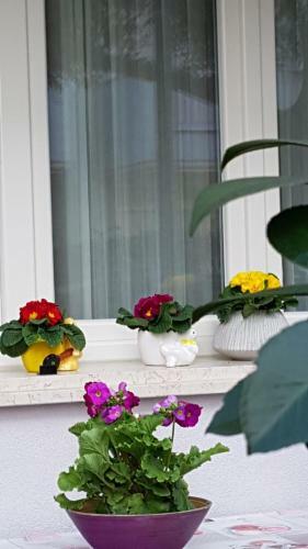 "villa Al Mare" B&B