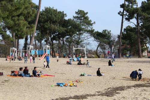 Villa 3 Chambres Bassin D'arcachon Confortable Et Moderne