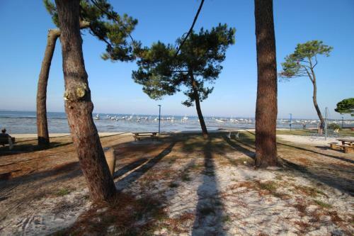 Villa 3 Chambres Bassin D'arcachon Confortable Et Moderne