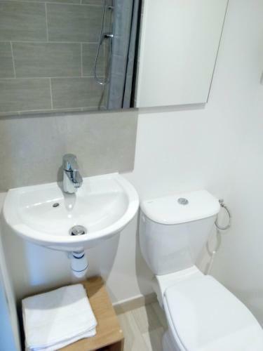 Apartamento Studio Montagne - Annecy Dream