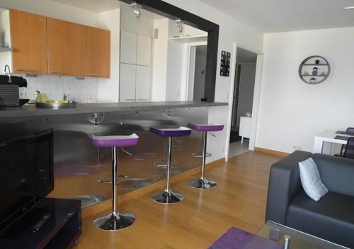 Apartamento Biarritz Bellevue Cl�menceau