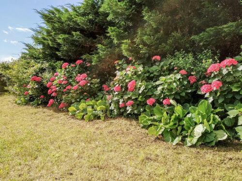 Holiday Home Villa Lukuchenia