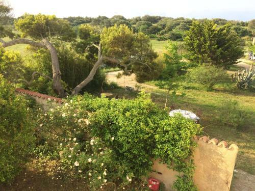 Bed & Breakfast A Loghja Di Cavallo Morto