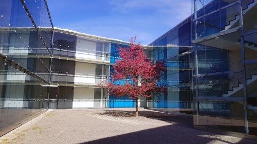 Hotel Seedri Apartments