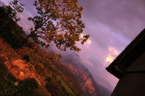 Apartamento La Petit Ferme