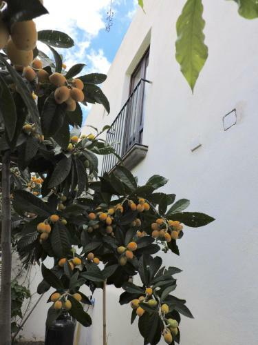 Bed & Breakfast Hotel I Cinque Balconi
