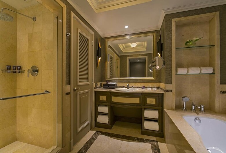 Hotel Ritz Carlton Santiago
