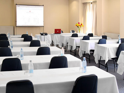 Hotel Swan Molinos Business