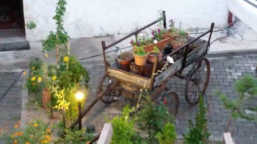 Bed & Breakfast Days Inn Cappadocia