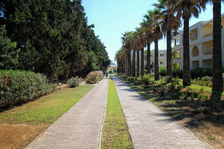 Hotel Calimera Delfino Beach Resort & Spa