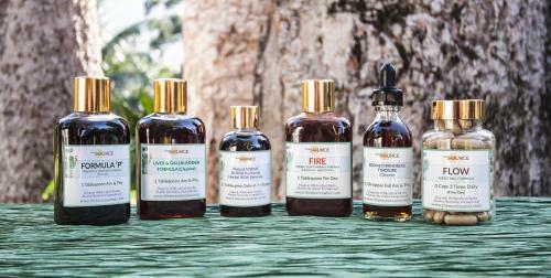 Hotel The Source Herbal Detox Retreat