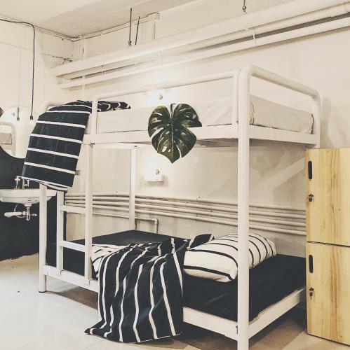 Albergue Beige Poshtels + Netflix