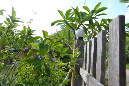 Posada Baandin Home Stay Muang Trang