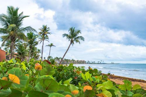 Apartamento Bv103 - Amazing Oceanfront Condo Steps From Beach