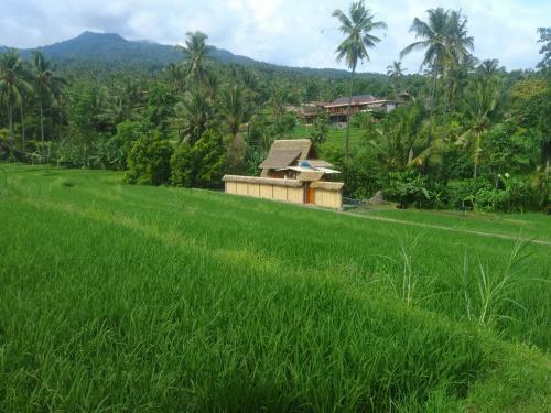 Posada Pondok Kunang Kunang