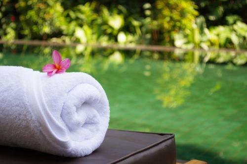 Hotel Sapodilla Ubud