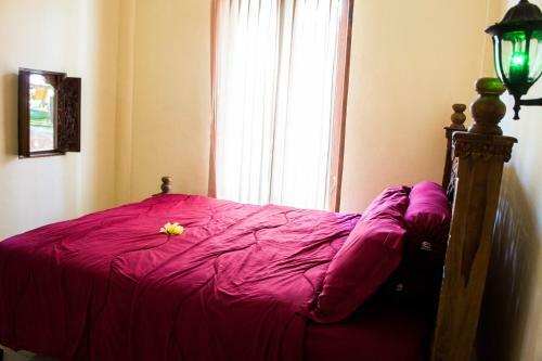 Hostal Shiva House