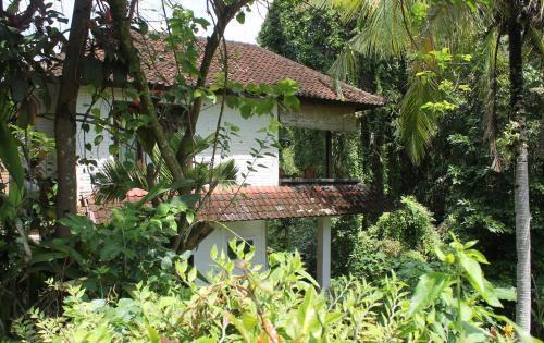 Hotel Lecuk Ubud Bungalows