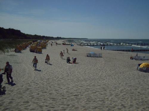 Apartamento Ferienwohnungen-seidel