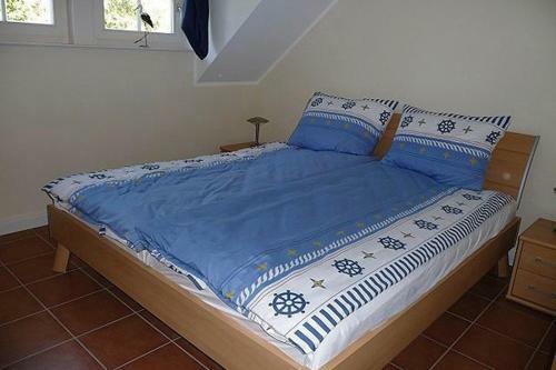 Herzmuschel - [#21760]