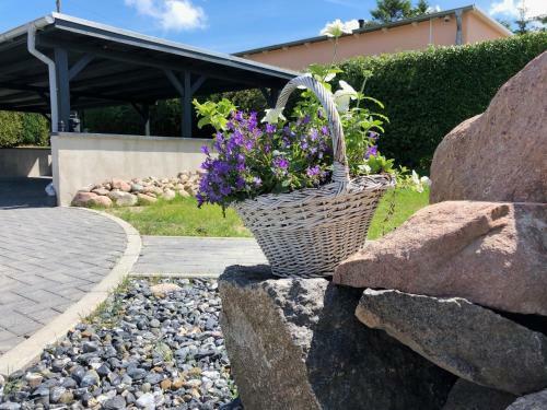 Ferienhaus Landlust R�gen