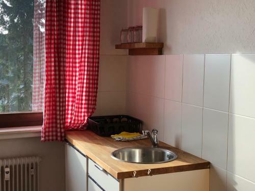 Apartment Alpina