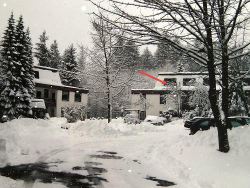 Apartamento In Der B�re 10-r