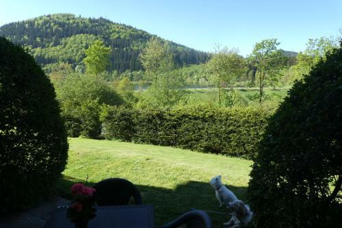Apartamento Haus Am Hillebachsee