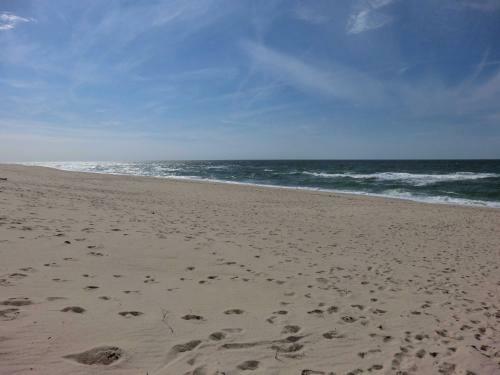 Apartamento Ferienwohnung 10 Auf Sylt _ Wester