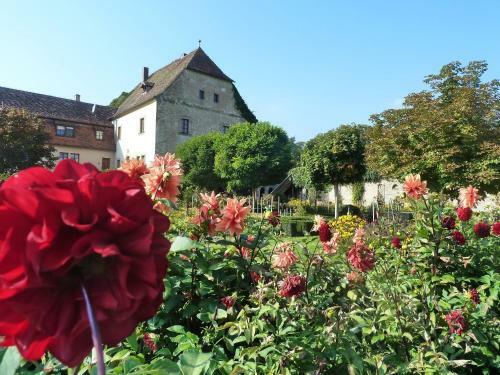 Apartamento Elgersheimer Hof