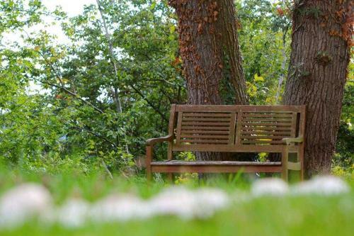 Apartamento Ferienwohnungen Friedrichs
