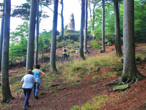 Apartamento Ferienwohnungen Waldblick